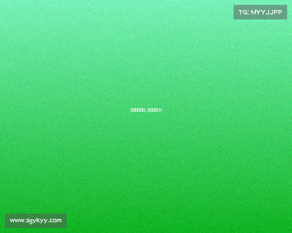 巴西赛车赛事_巴西赛事ds